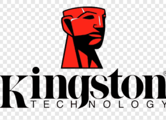 Kingston Technology Remains Top DRAM Module Supplier for 2021