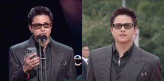 Seoul Drama Awards 2025: Daniel Padilla Earns Outstanding Asian Star Recognition